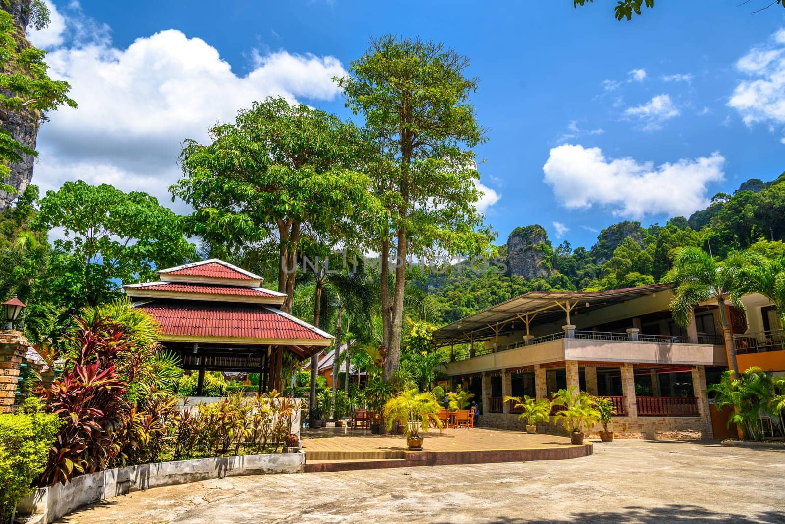 Houses and different palms in the village on Railay beach west, Ao Nang, Krabi, Thailand by Eagle2308