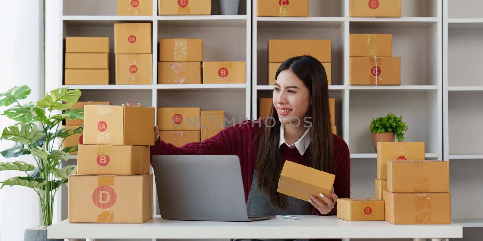 Small businesses SME owners female entrepreneurs check online orders to prepare to pack the boxes, sell to customers, sme business ideas online.