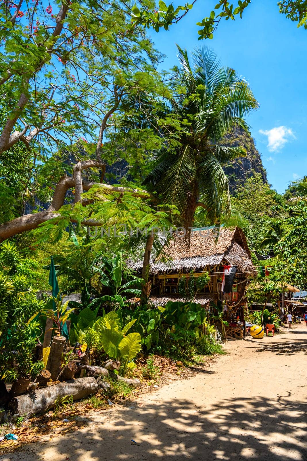 Houses and different palms in the village on Railay beach west, Ao Nang, Krabi, Thailand by Eagle2308