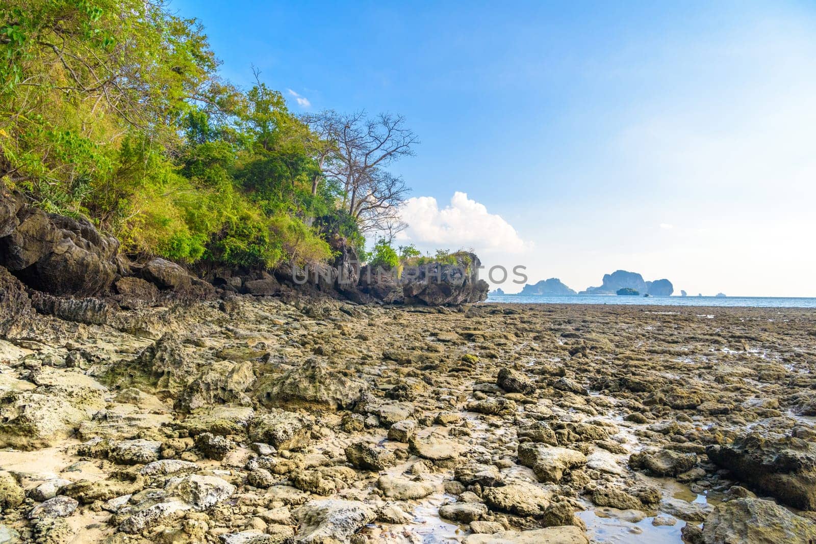 Low tide water on Tonsai Bay, Railay Beach, Ao Nang, Krabi, Thailand.