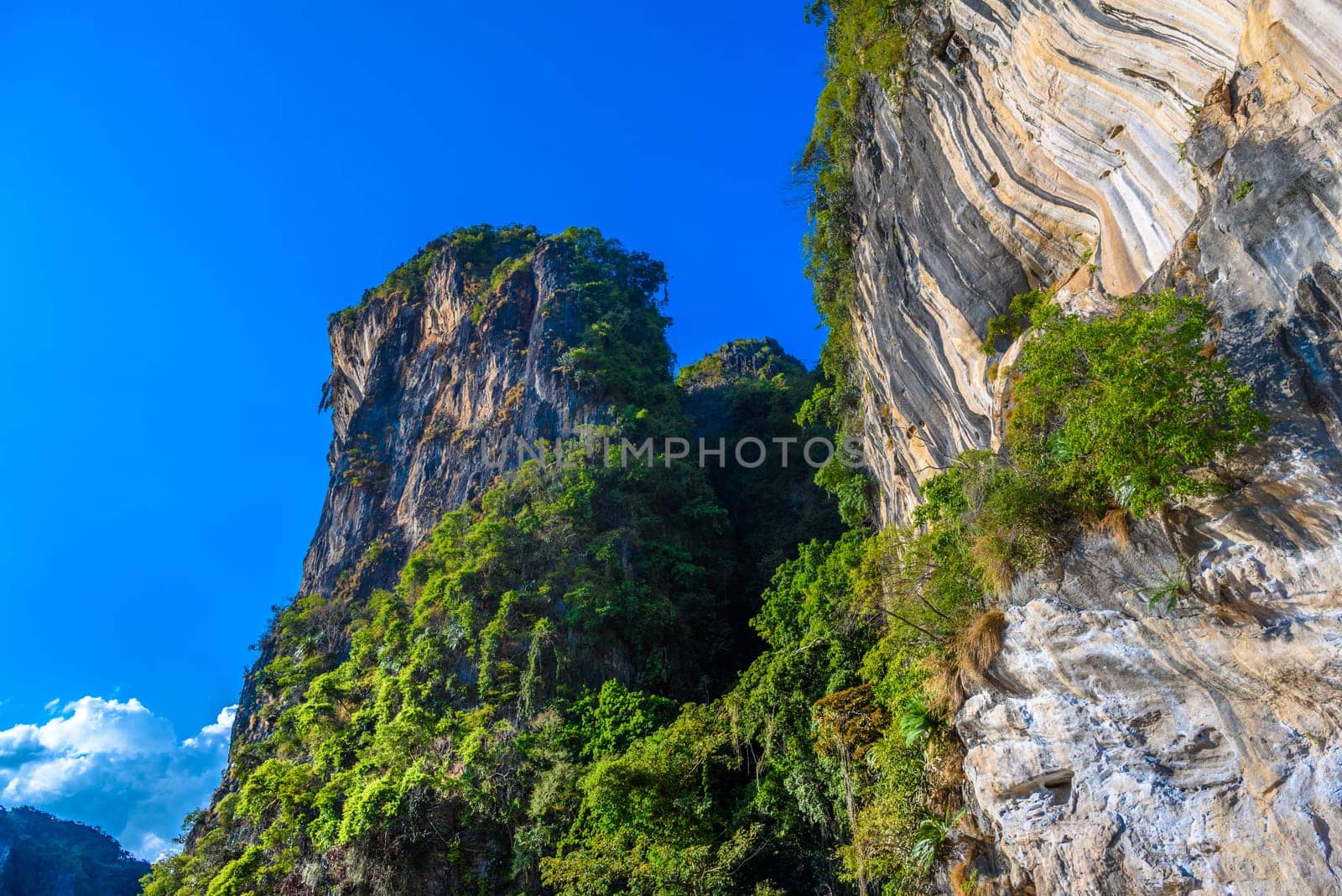 Rocks cliffs with palms on Tonsai Bay, Railay Beach, Ao Nang, Krabi, Thailand by Eagle2308