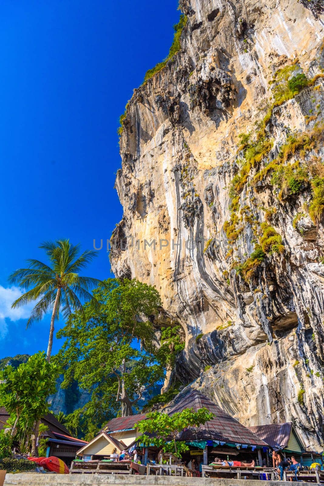 Rocks cliffs with palms on Tonsai Bay, Railay Beach, Ao Nang, Krabi, Thailand by Eagle2308