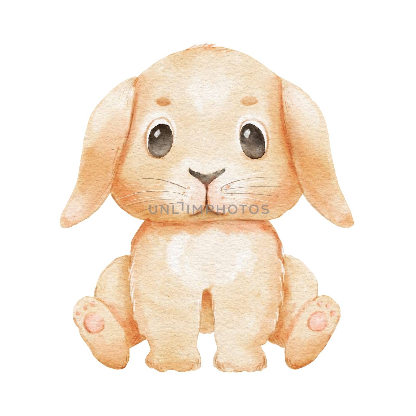 Cute cartoon rabbit isolated on white. Watercolor pet bunny is sitting. Childish funny character by ElenaPlatova