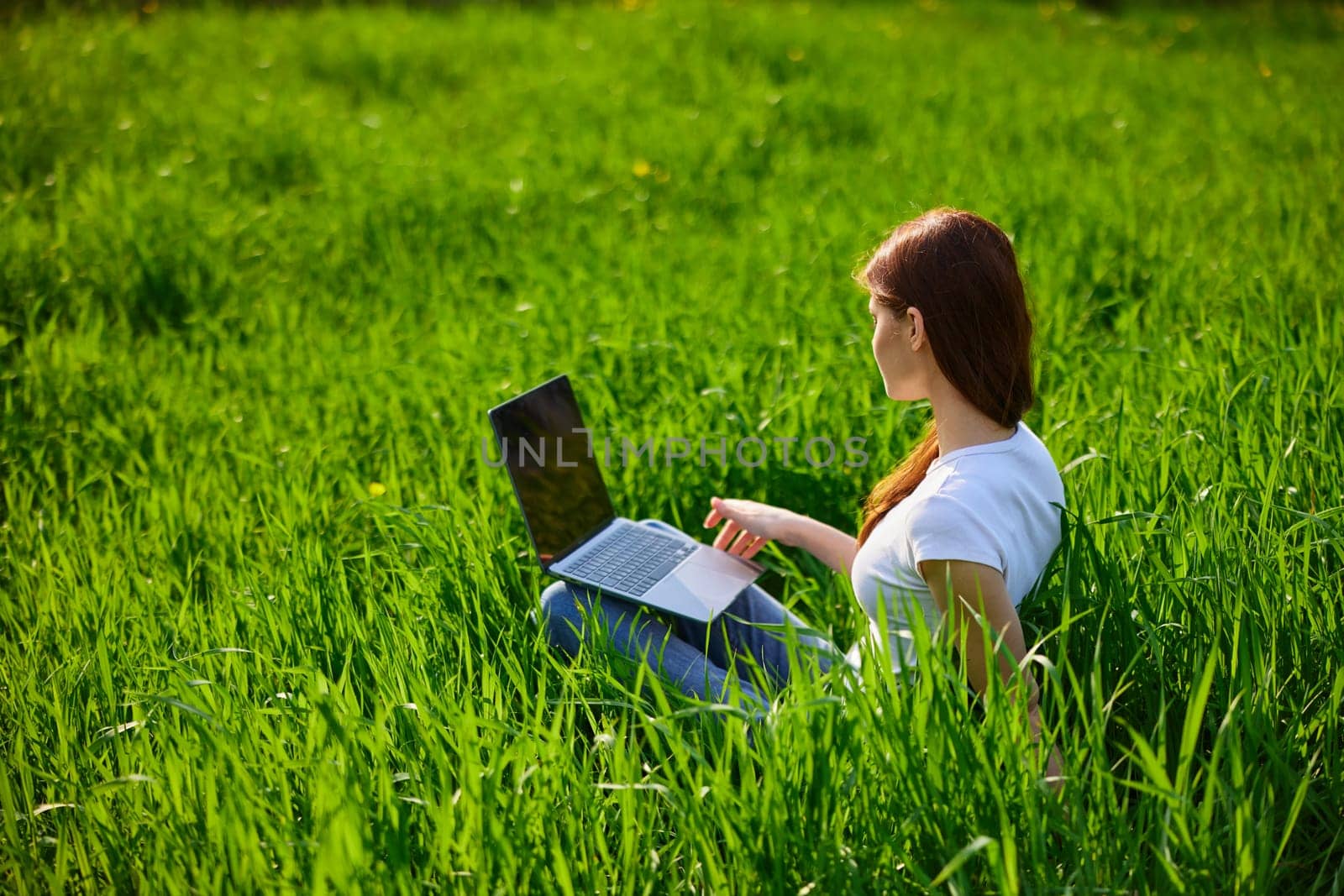 a woman in a light T-shirt works at a laptop while sitting in high green grass. High quality photo