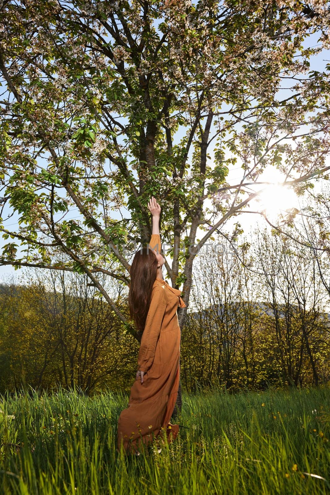 a slender woman with long red hair stands in the countryside near a flowering tree in a long orange dress and standing sideways to the camera reaches for the branches. High quality photo