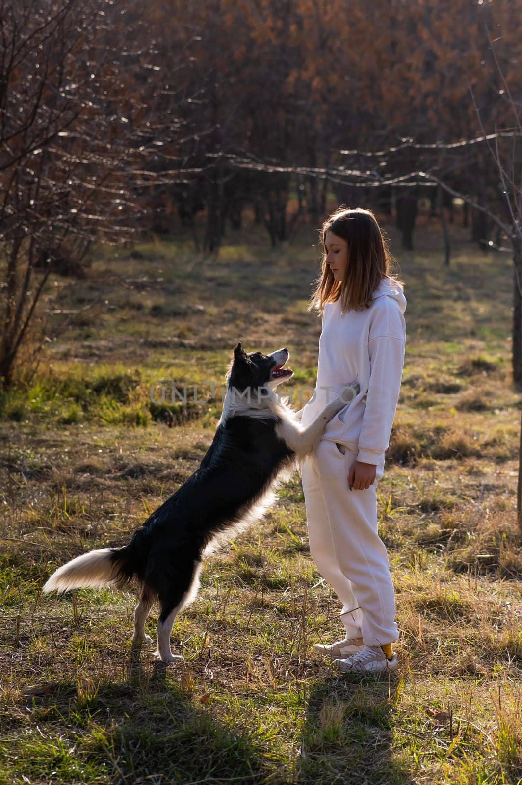 Caucasian woman hugging her dog Border Collie while sitting on a bench in autumn park