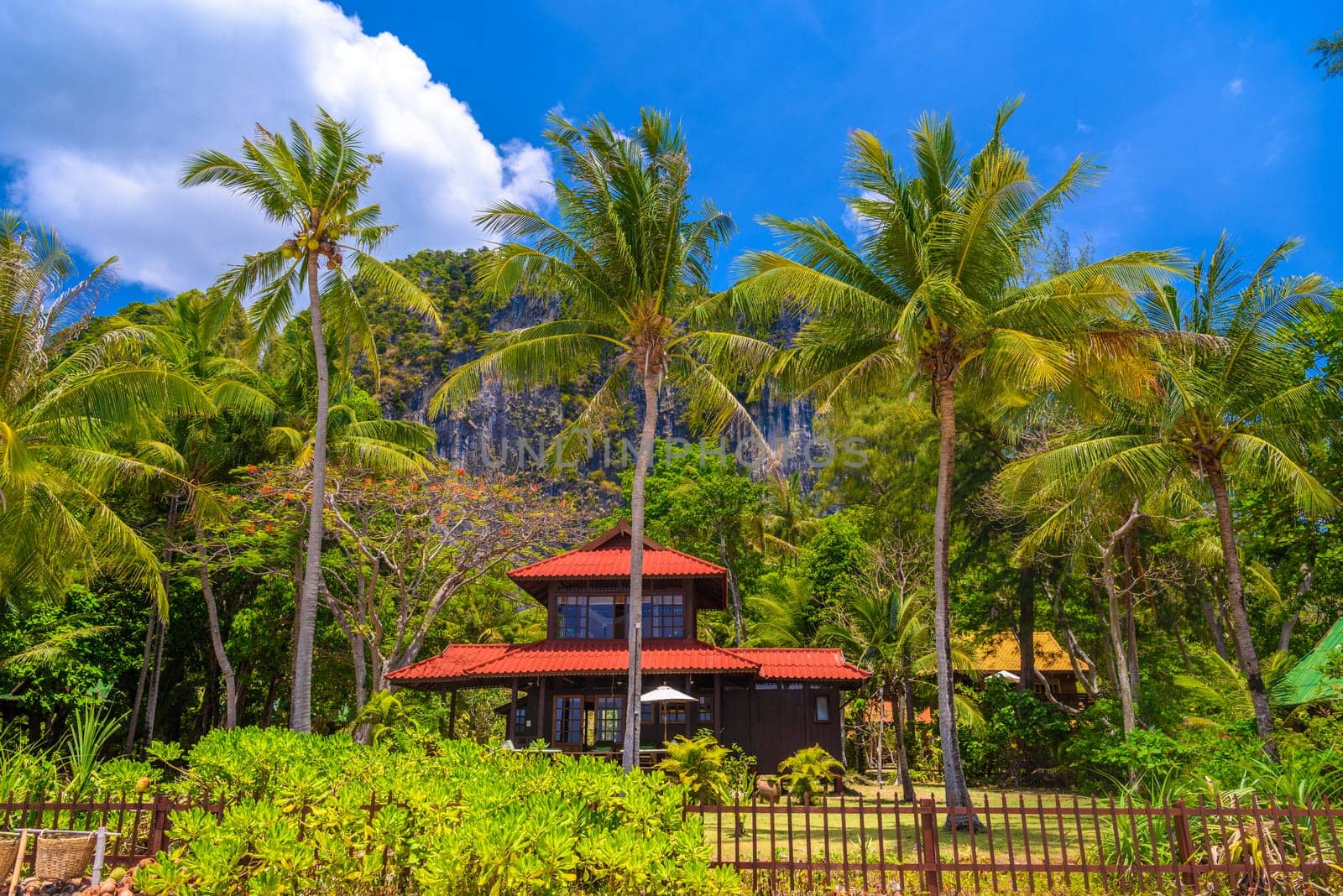 Bungalow house with red roof among coconut palms near the cliffs on Railay beach west, Ao Nang, Krabi, Thailand.