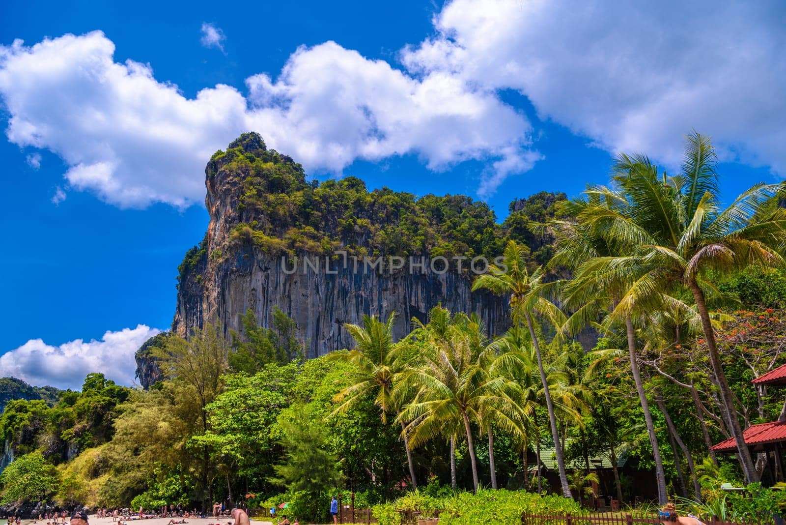 Rocks and cliffs, water and coconut palms, Railay beach west, Ao Nang, Krabi, Thailand by Eagle2308
