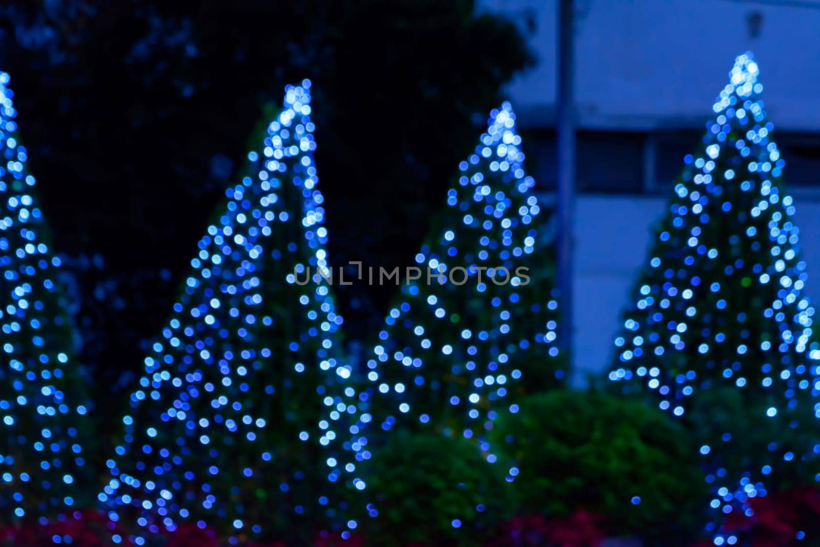 The Merry Christmas & A Happy New Year Festival.