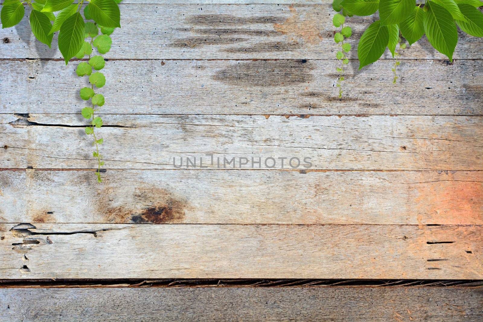 The brown barn wood wall. Wall texture in nature background.