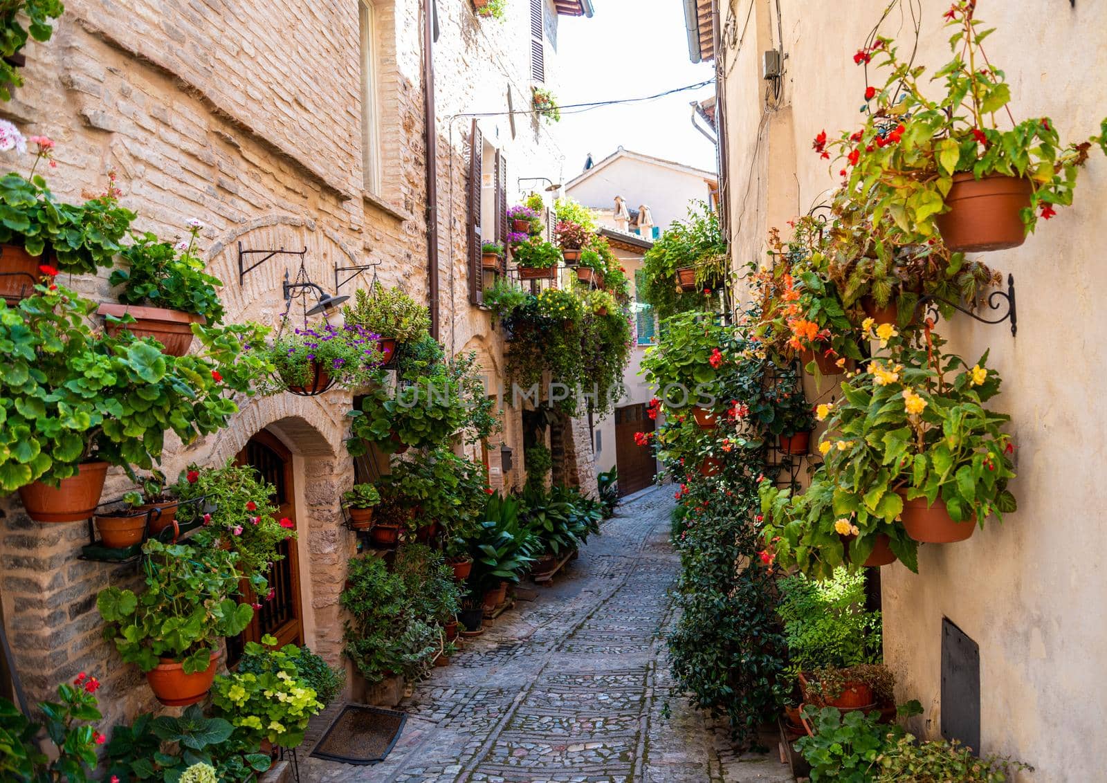 alley with flowers in the town of Spello by carfedeph
