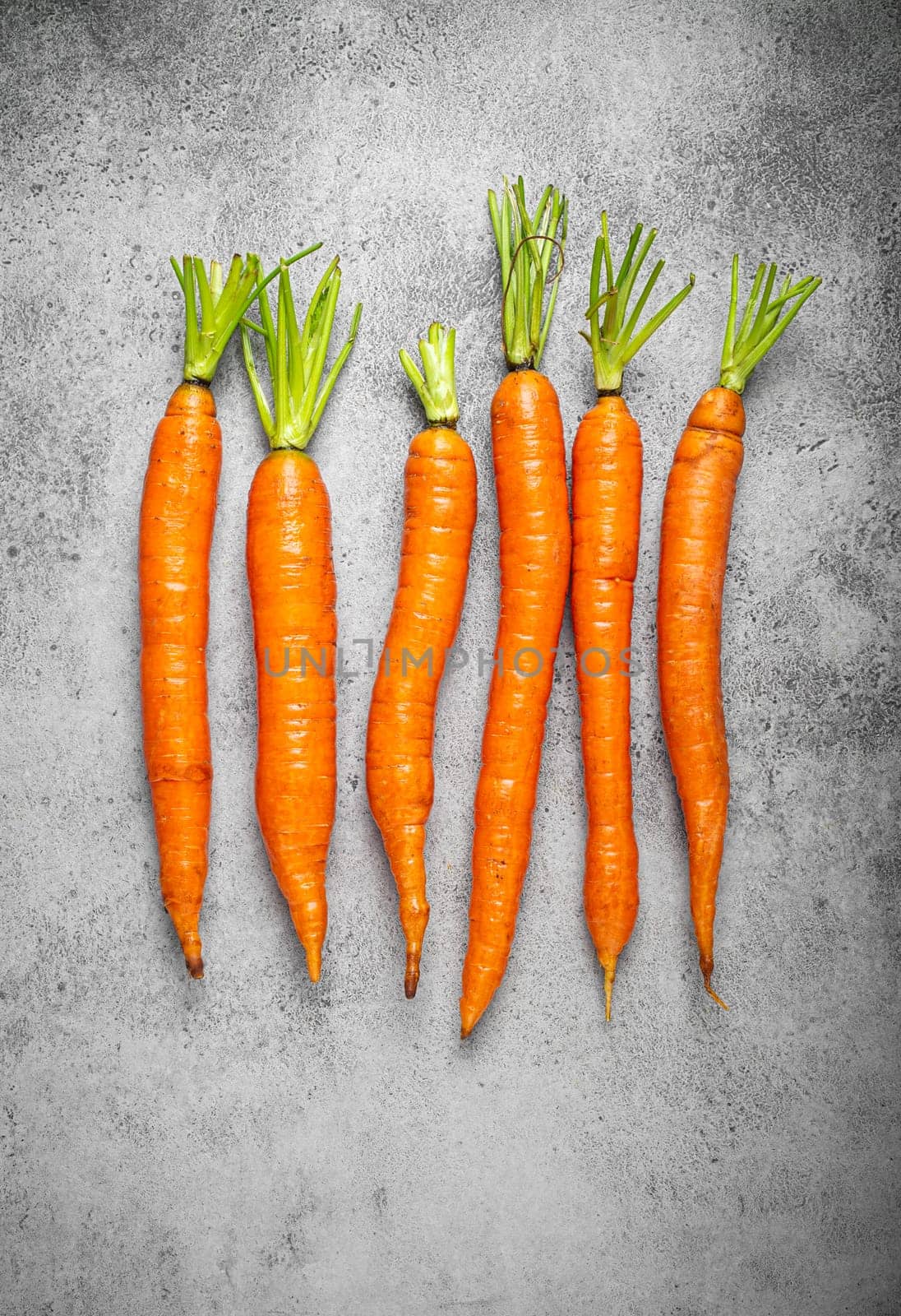 Fresh raw organic farm carrots with leafs arranged on grey rustic stone background top view, healthy carrots in balanced nutrition, cooking concept