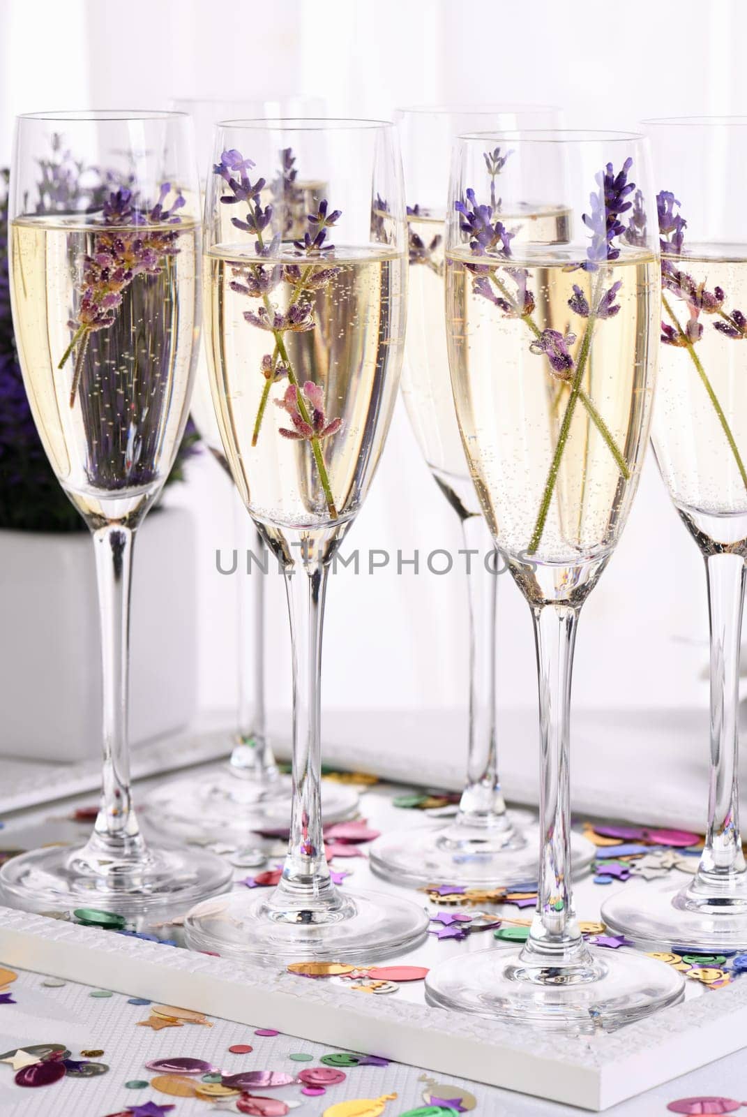 Sparkling lavender Champagne by Apolonia