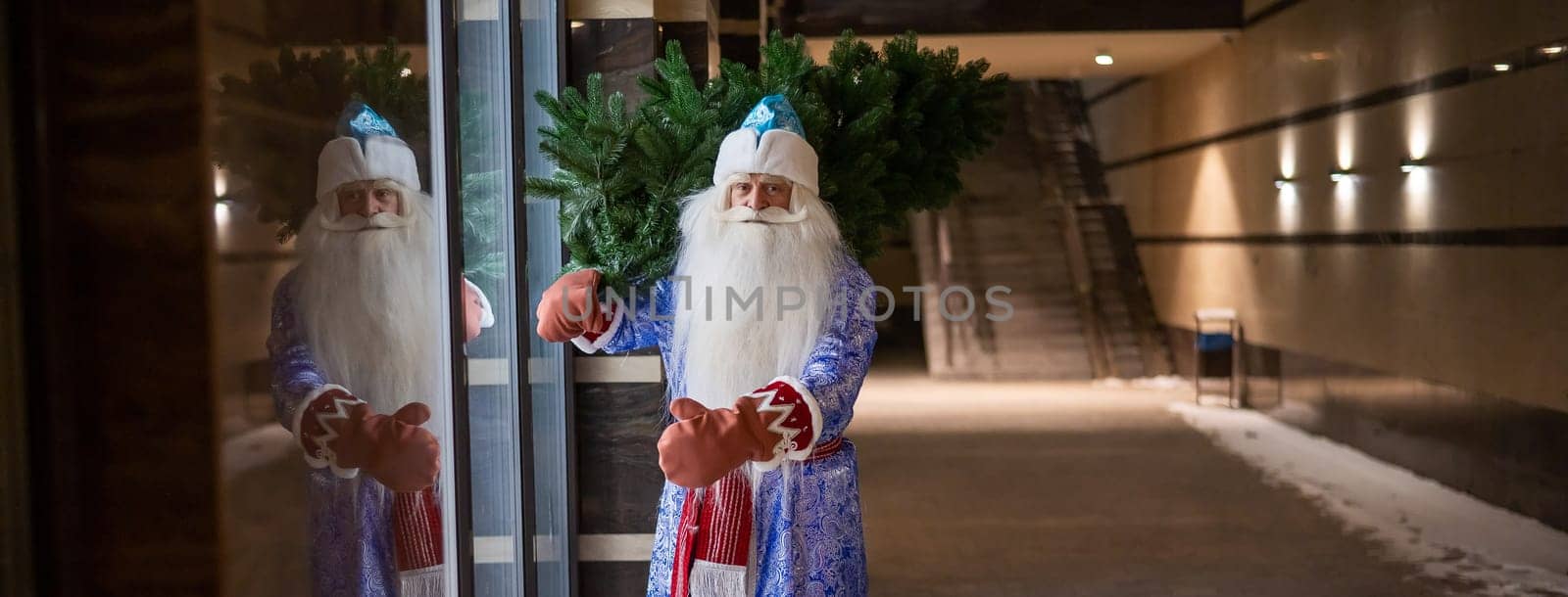 Russian Santa Claus carries a Christmas tree at night outdoors. by mrwed54