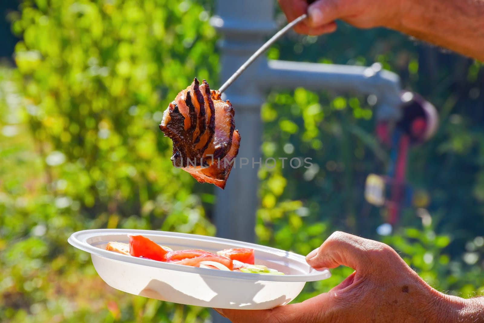 Garden bacon roasting at summer. by GraffiTimi