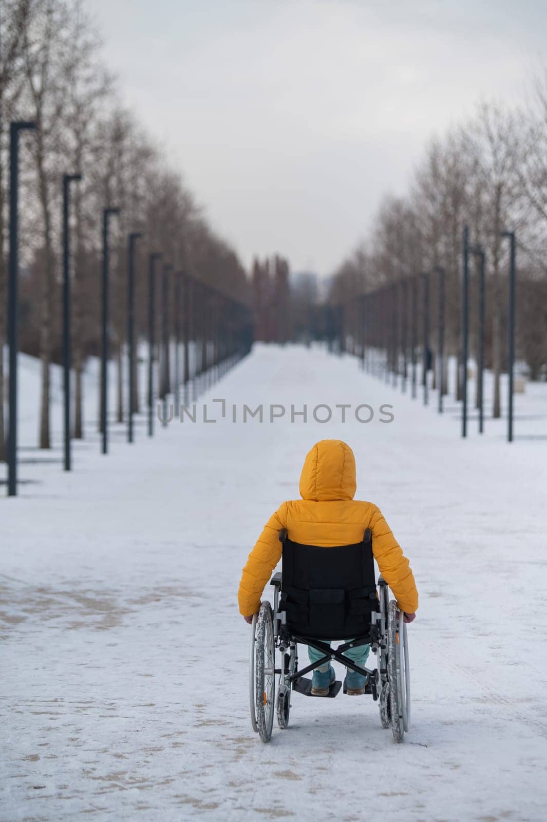 Caucasian woman with disabilities rides on a chair in the park in winter. Back view of a girl on a walk in a wheelchair