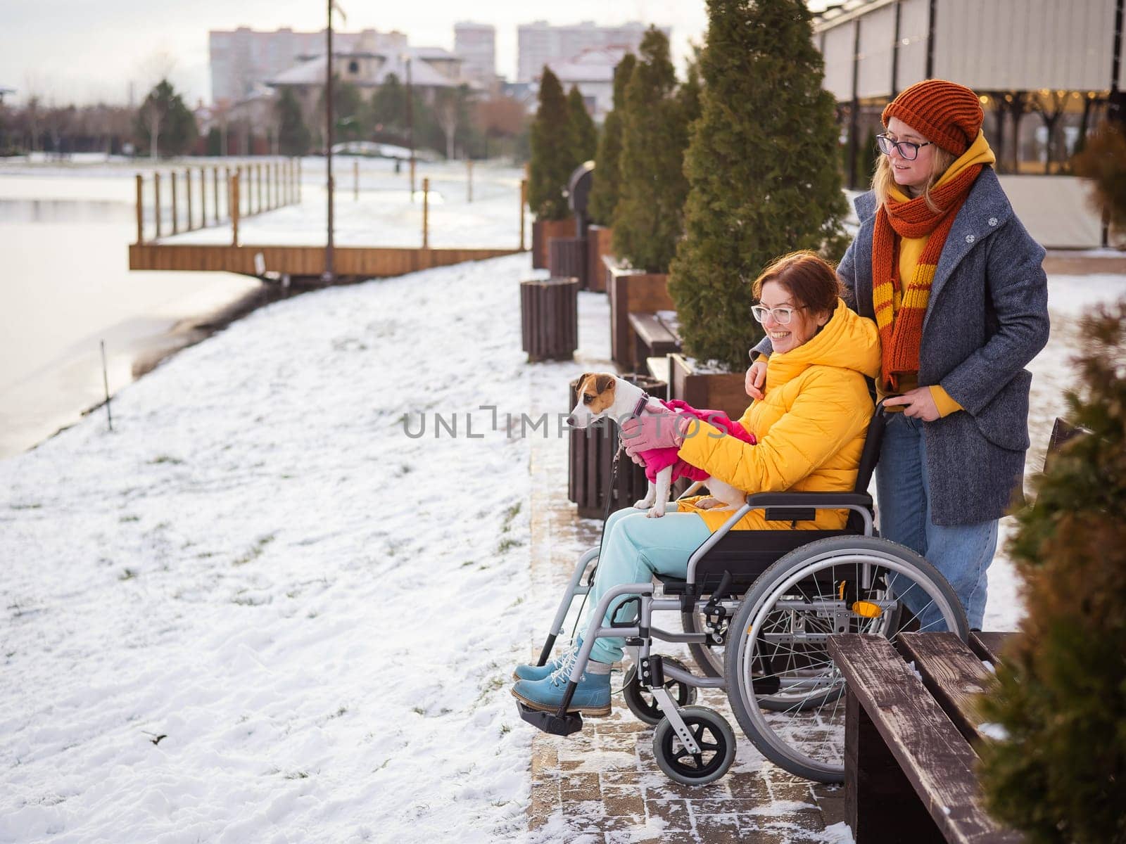 A woman in a wheelchair walks with her friend and a dog by the lake in winter. by mrwed54