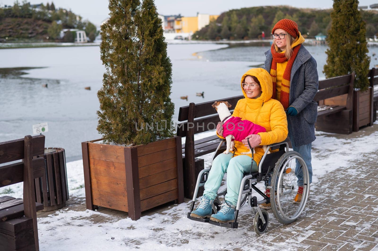 A woman in a wheelchair walks with her friend and a dog by the lake in winter. by mrwed54