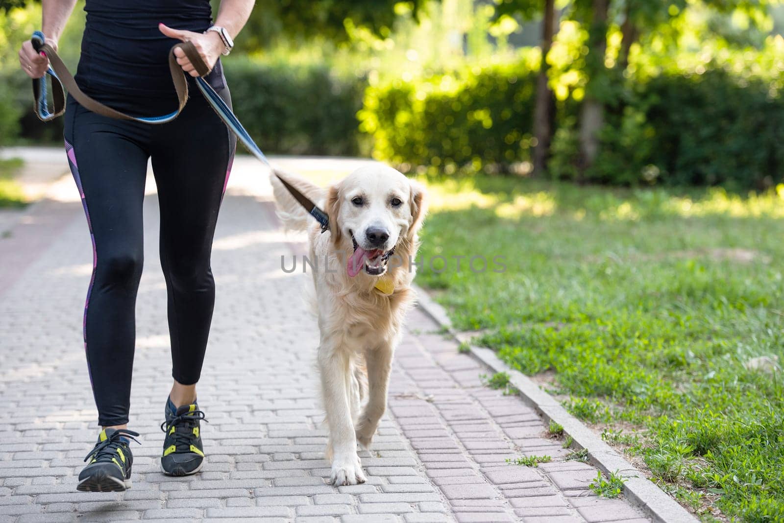Girl running with golden retriever dog by GekaSkr