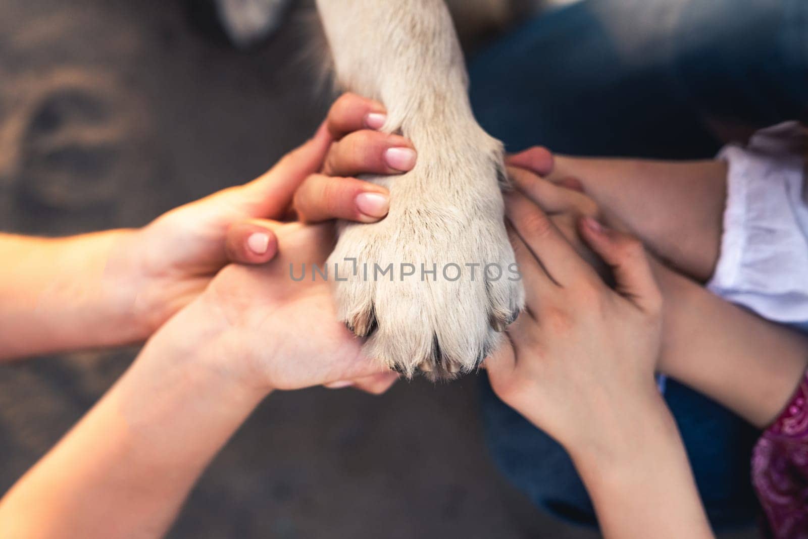 Human hands and dog paw by GekaSkr