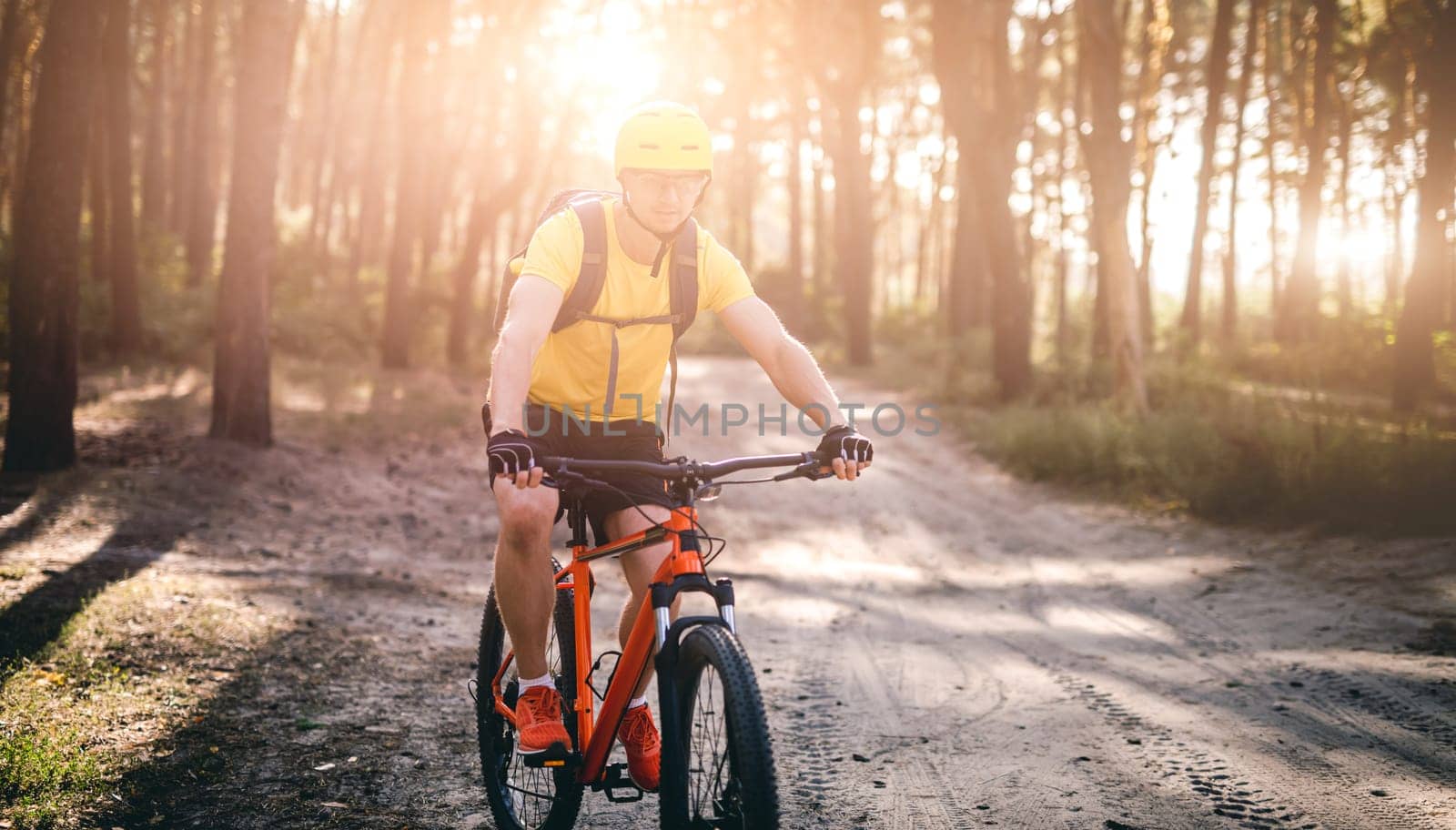 Cyclist riding bicycle along path in sunny pine forest