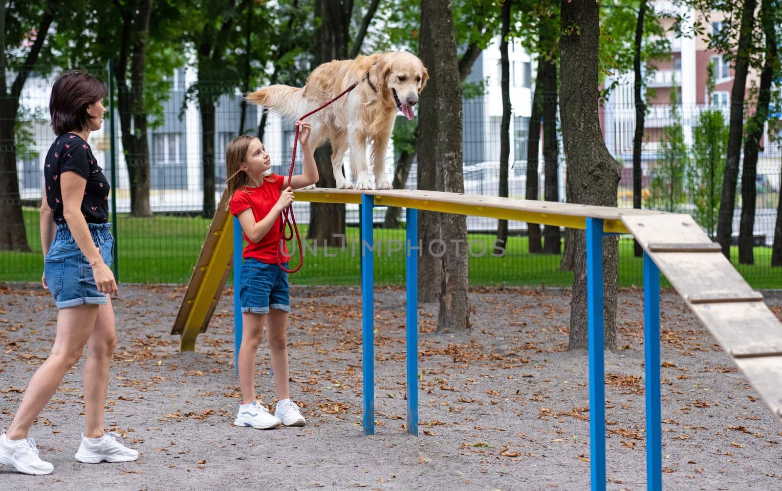 Mother with daughter training golden retriever dog in the park at summer. Girls family with doggie pet outdoors