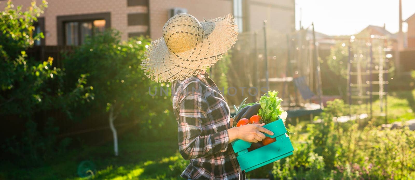 Hardworking young woman gardener in straw hat picks up her harvest box of tomatoes on sunny summer day.