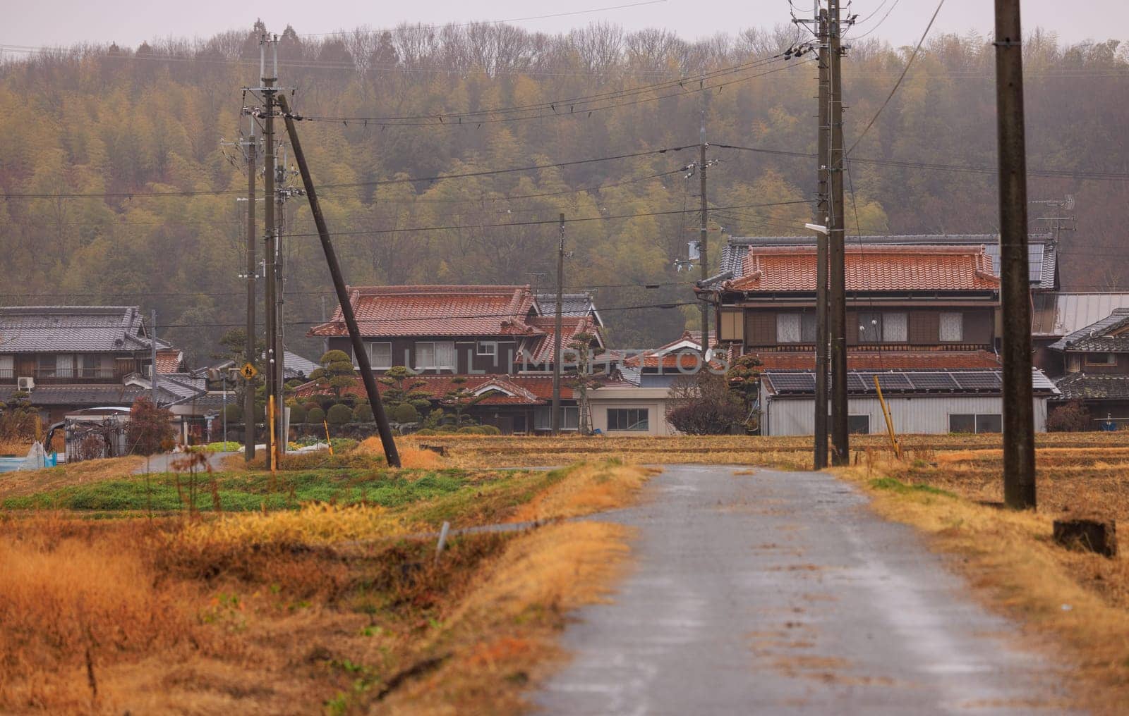Traditional Japanese Houses next to Golden Fields on Rainy Winter Day by Osaze