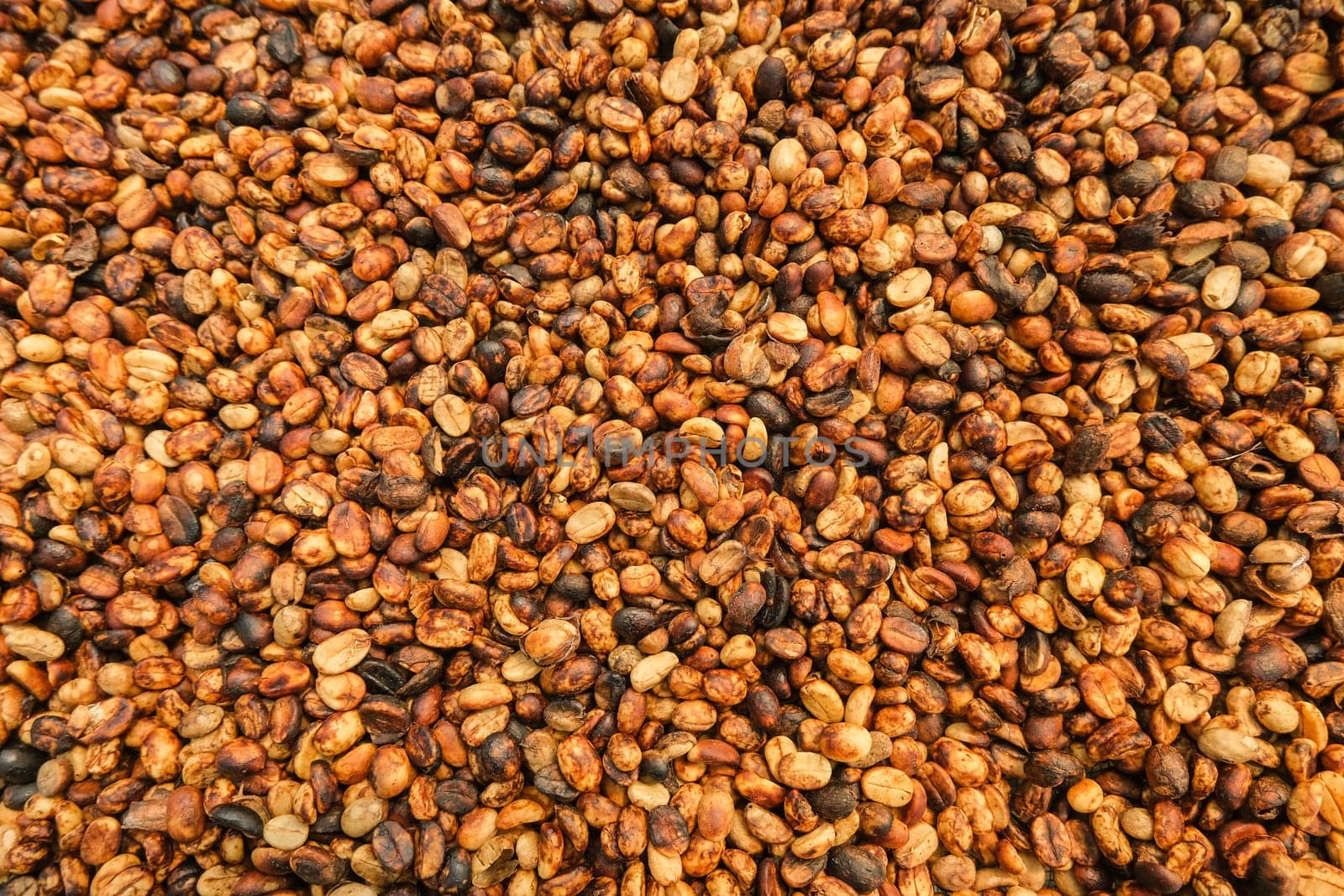 Background of bulk drying of coffee beans under sunlight. The natural drying of the coffee beans by the honey process, removed bulb and remaining sweet for dry. Selective focus. by TEERASAK