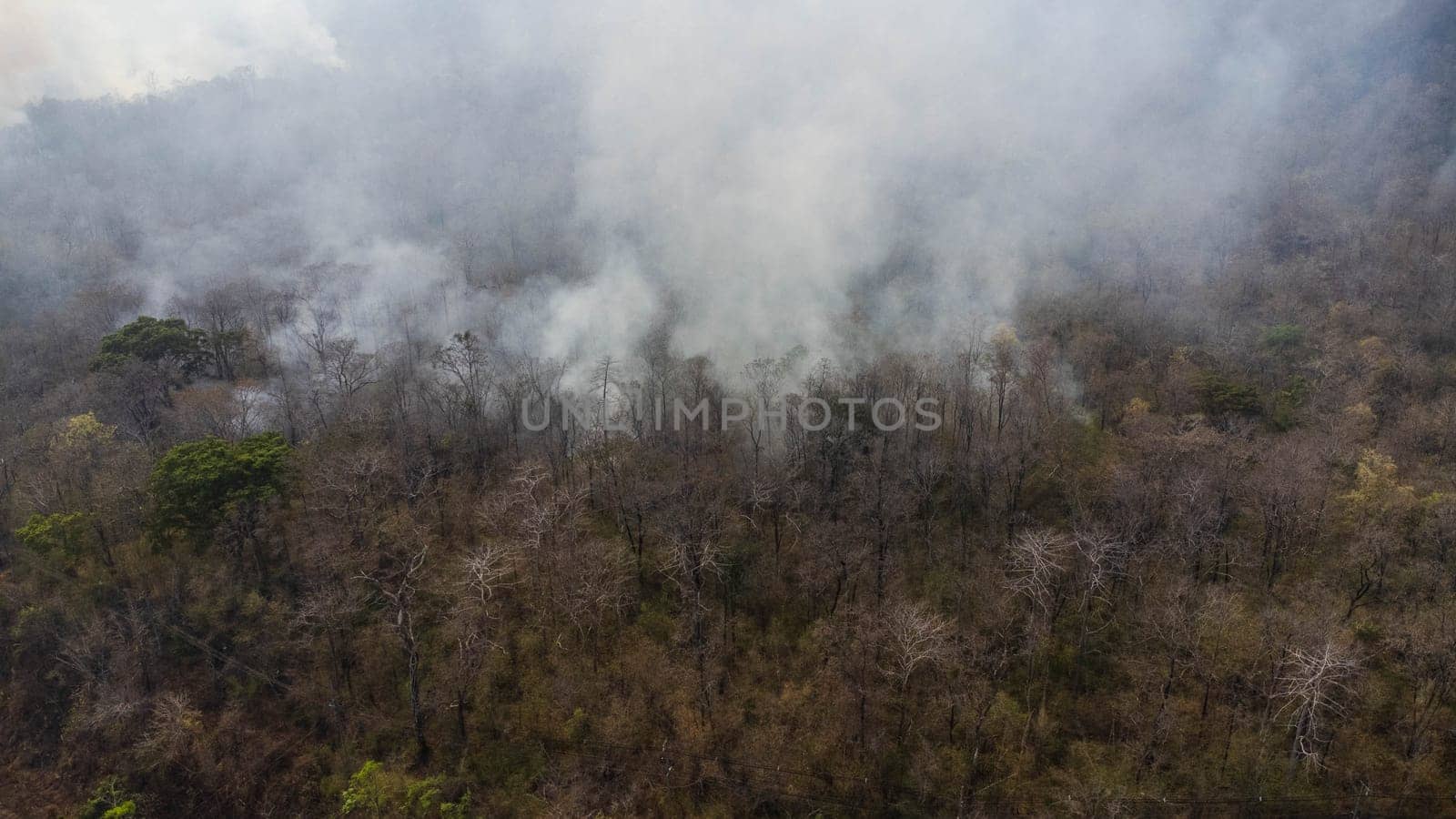 Aerial drone view of a wildfire burning through a forest area, fills the sky with dark smoke in the woods near the edge of the highway. Burning Forest. Air pollution concept