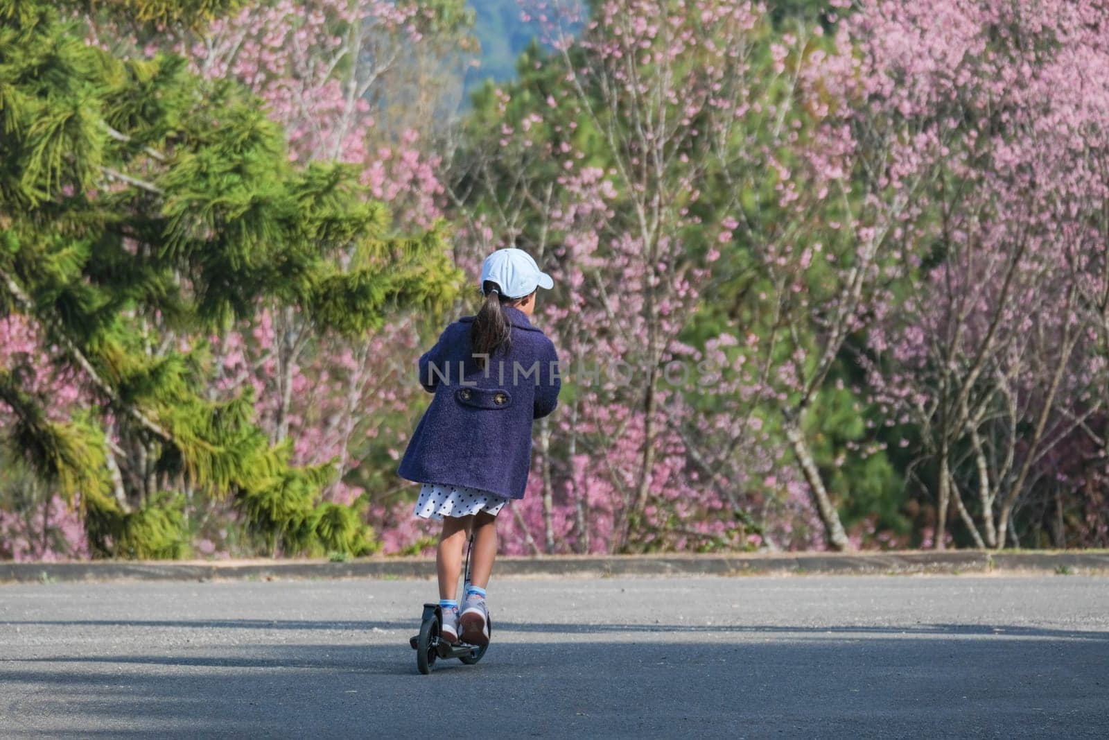 Cute little girl riding scooter on street in outdoor park on summer day. Happy Asian girl riding a kick scooter in the park. Active leisure and outdoor sport for child. by TEERASAK