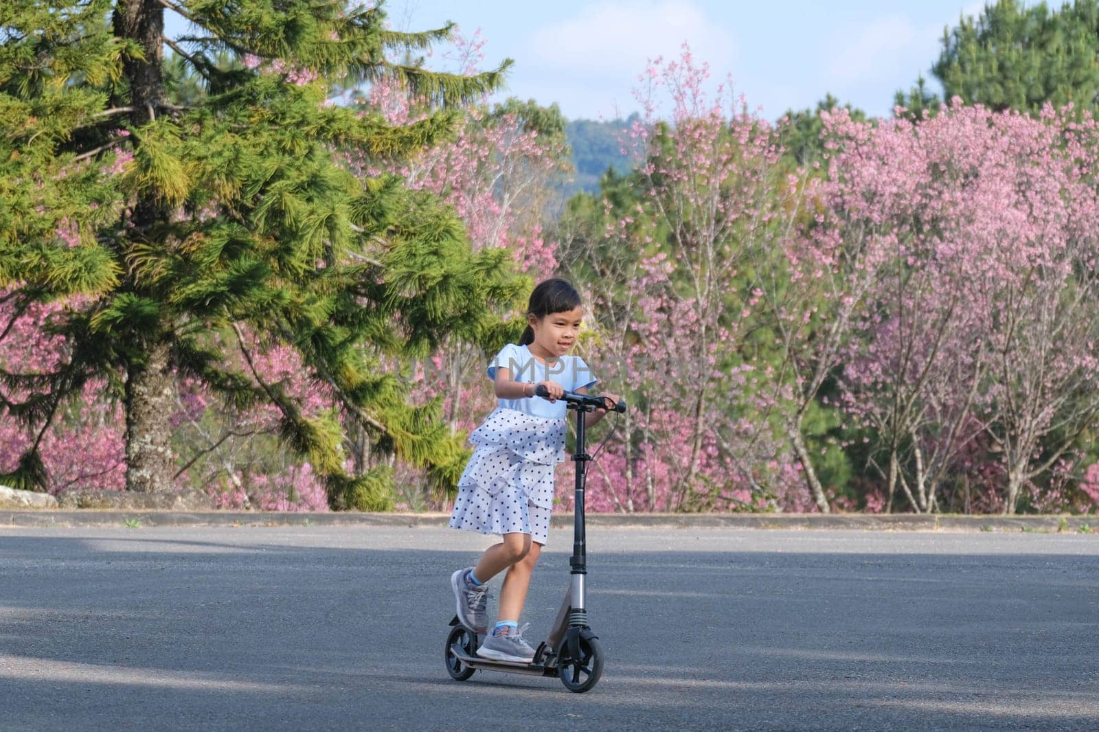 Cute little girl riding scooter on street in outdoor park on summer day. Happy Asian girl riding a kick scooter in the park. Active leisure and outdoor sport for child. by TEERASAK