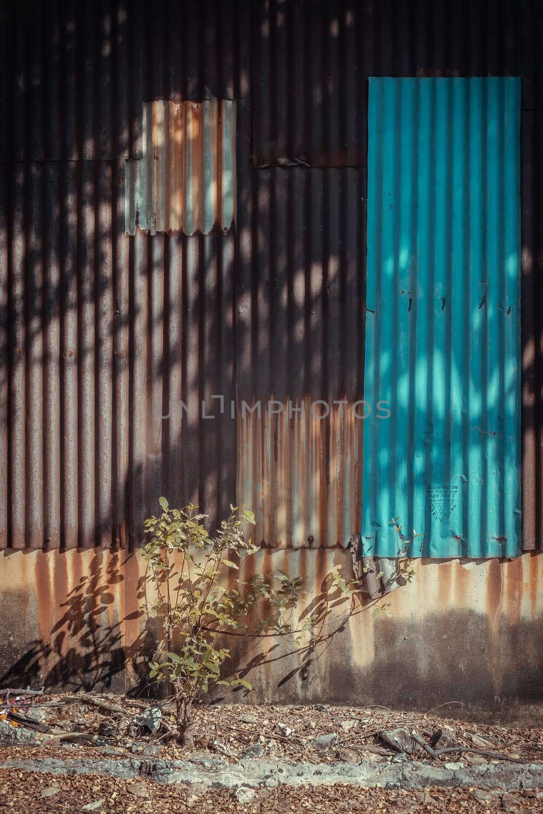 The shadow of the bright sunlight shining through trees and leaves front of Old and rusty zinc sheet wall house fence beautifully. Corrosion of Old rust galvanized sheet, Space for text, Selective focus.
