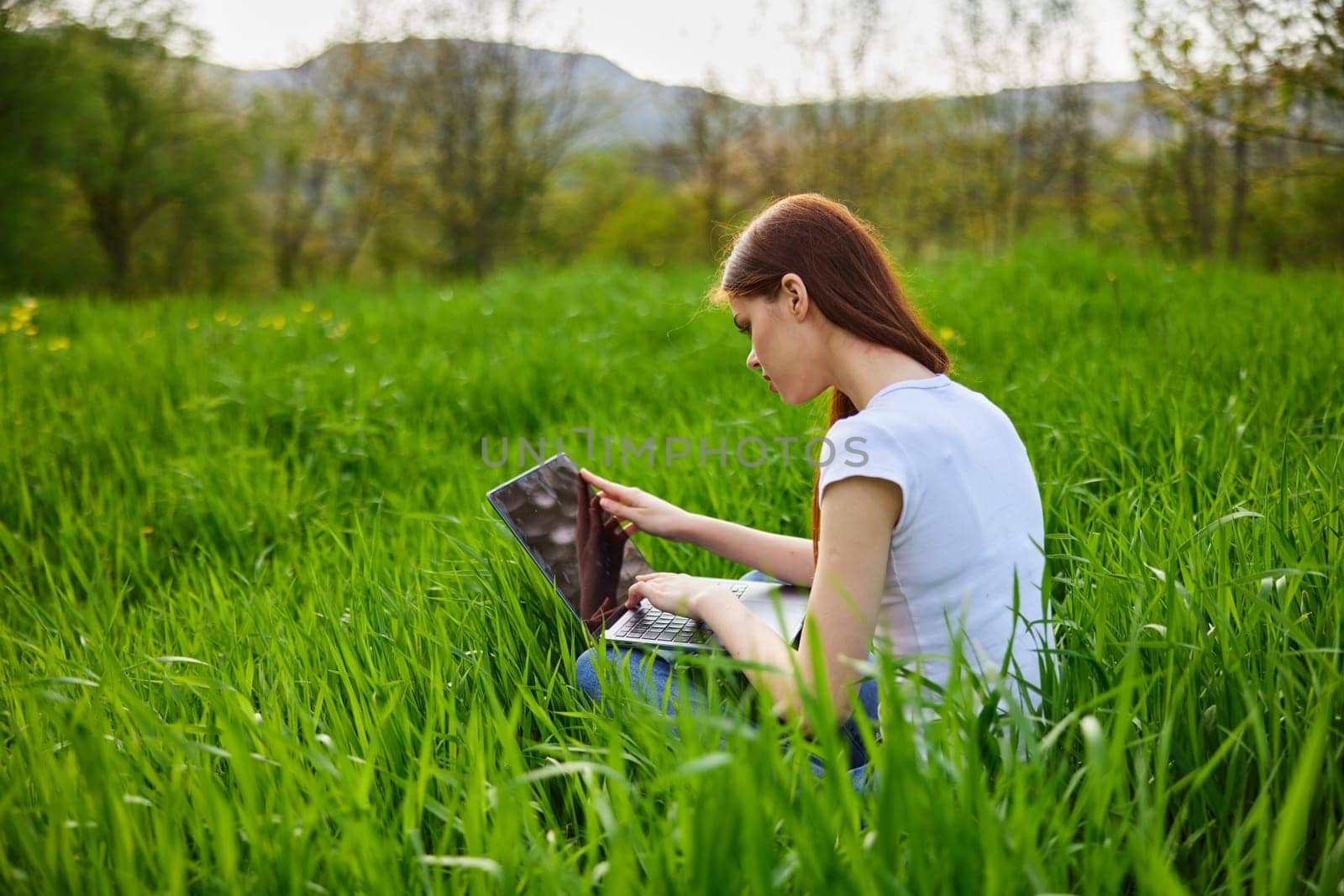 a woman works at a laptop while sitting in high green grass in nature, on a sunny summer day by Vichizh