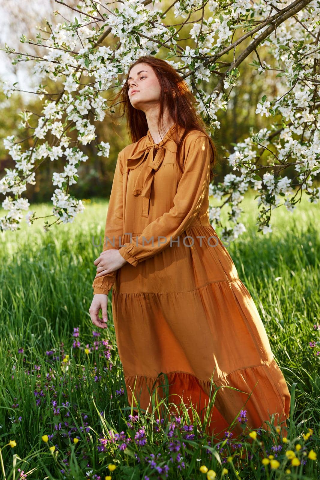 a slender, sweet woman stands in a long orange dress in the tall grass near a flowering tree and looks away, and her dress is developing in a light wind. High quality photo