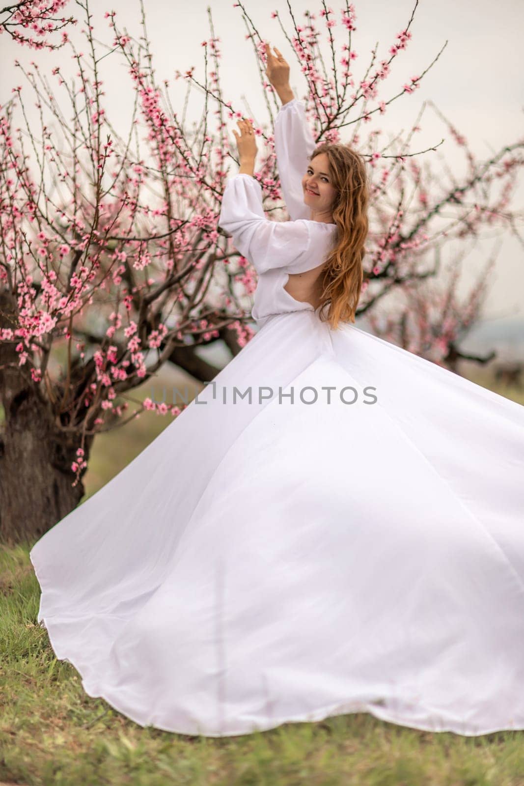 Woman peach blossom. Happy curly woman in white dress walking in the garden of blossoming peach trees in spring by Matiunina