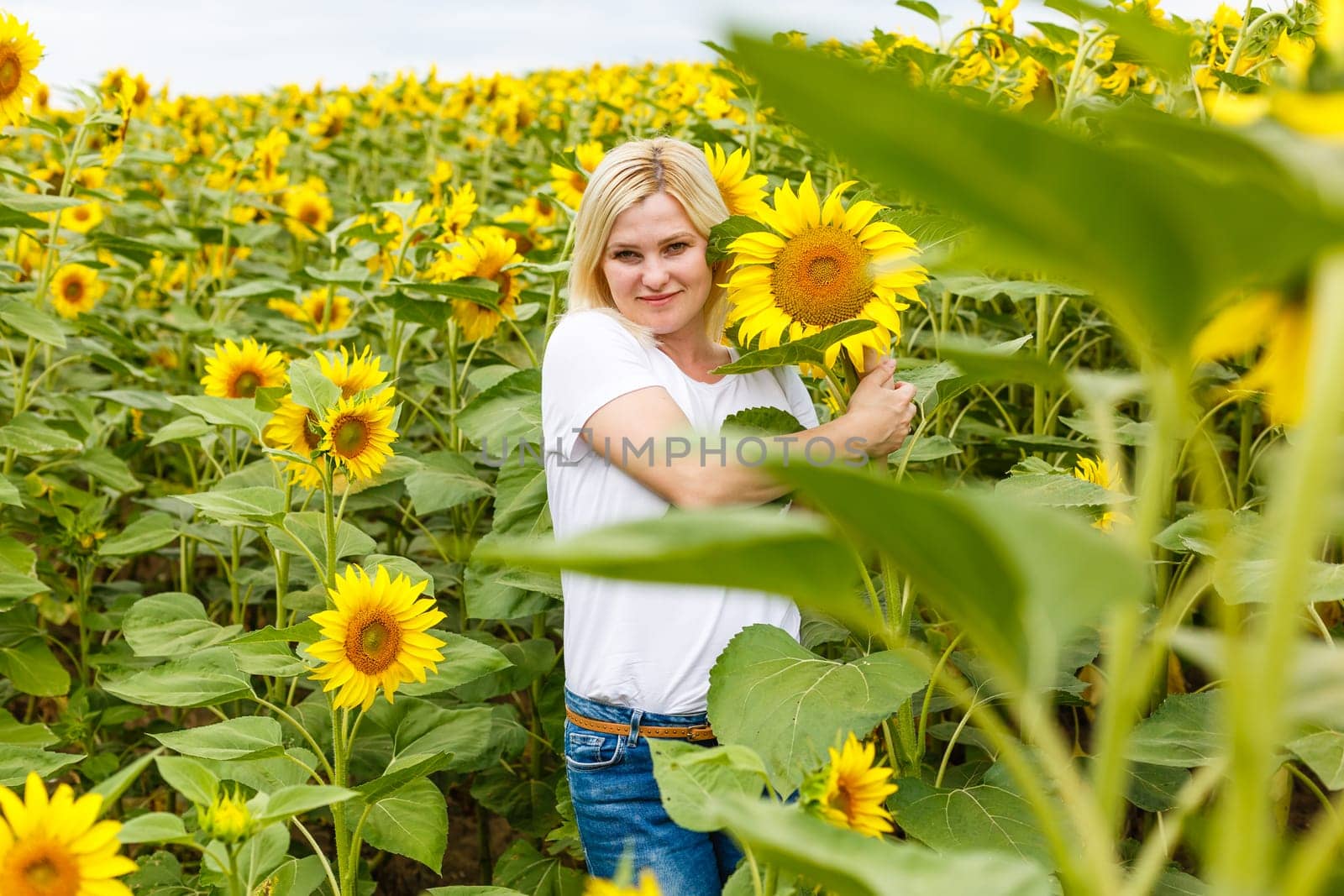 smiling woman in sunflower field nature sun agriculture. by Andelov13