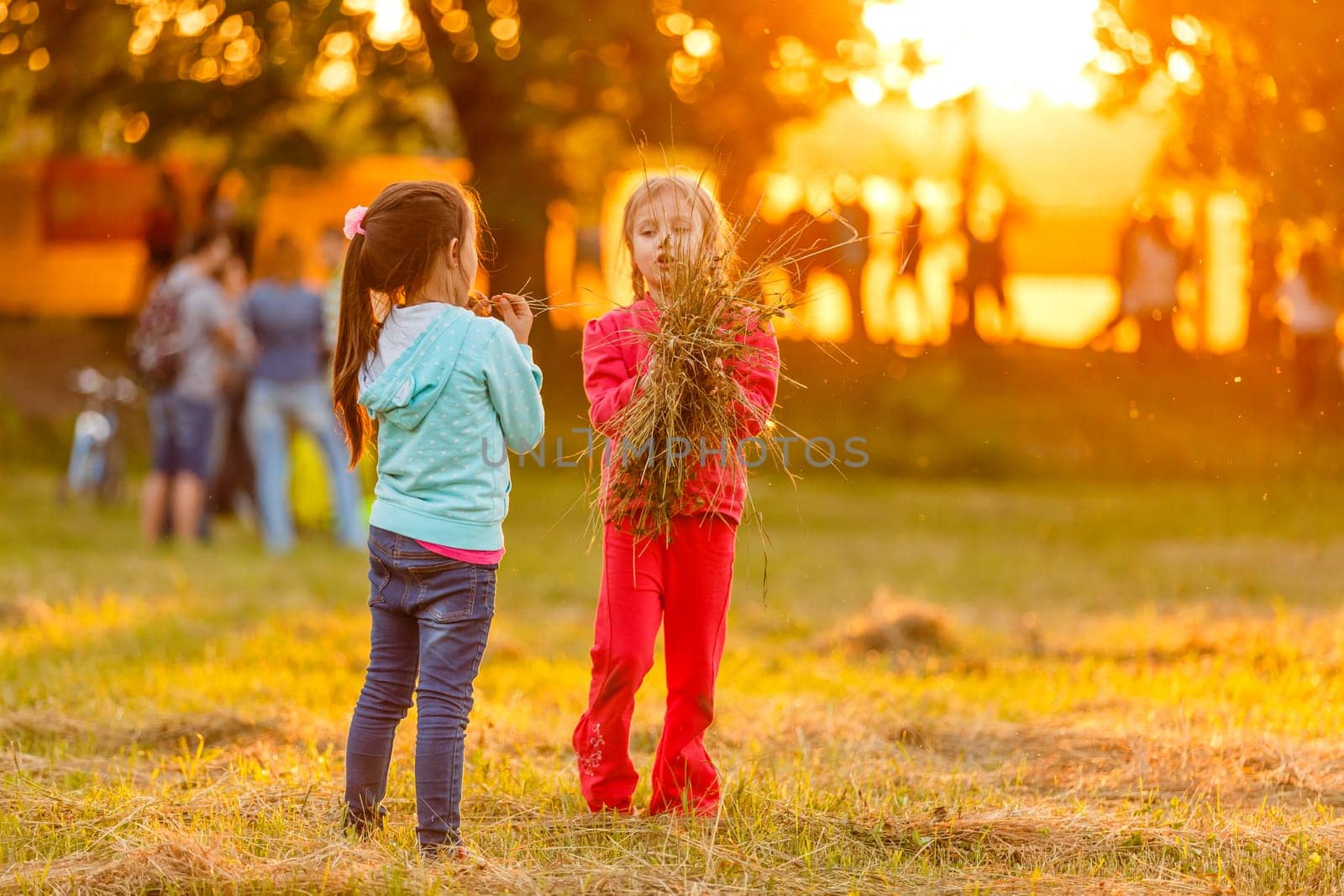 two little friends girls in the field. by Andelov13
