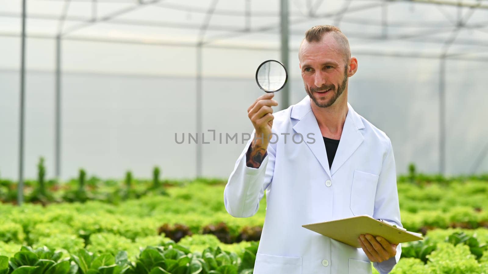 Caucasian male scientists holding magnifying glass and clipboard standing among vegetable in industrial greenhouse by prathanchorruangsak