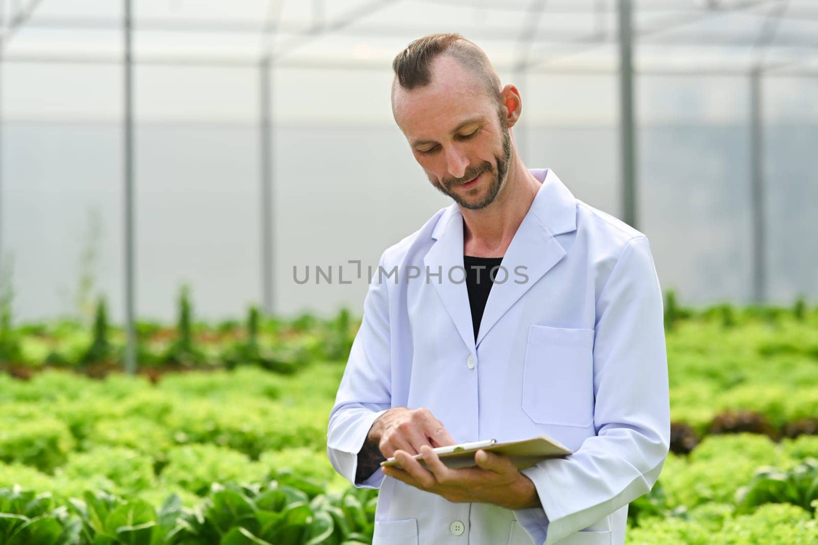 Smiling male researcher, geneticist, biologist inspecting vegetable, working in an experimental greenhouse.