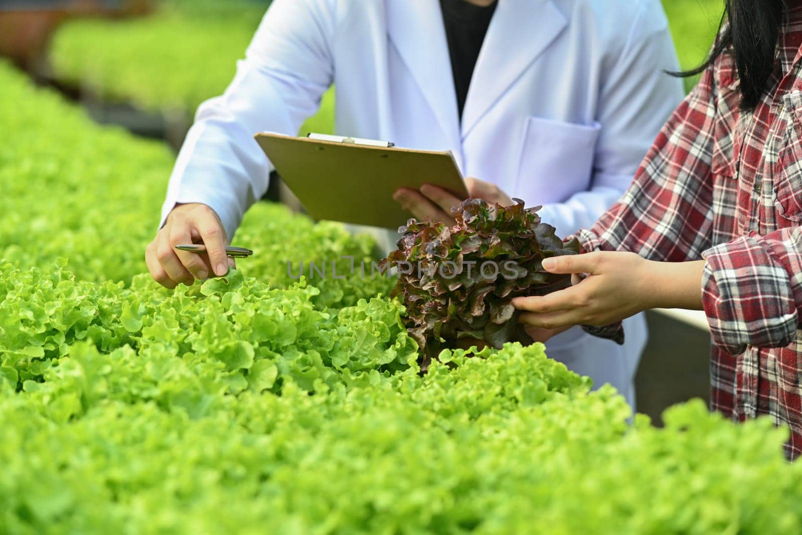 Cropped shot of scientist holding clipboard examining plants in industrial greenhouse by prathanchorruangsak