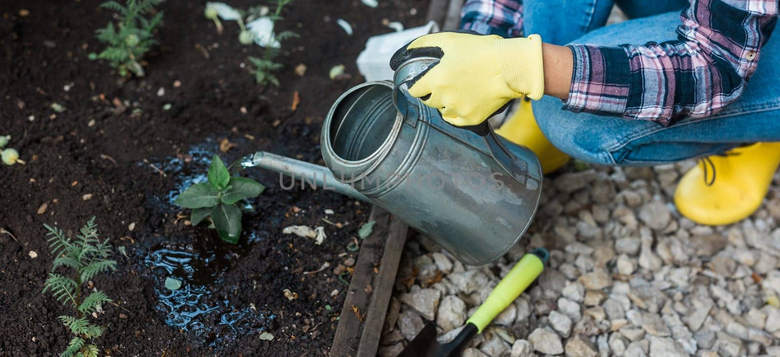 Woman in her garden water with watering can plants in garden. Concept gardening spring and bio and ecological by Satura86