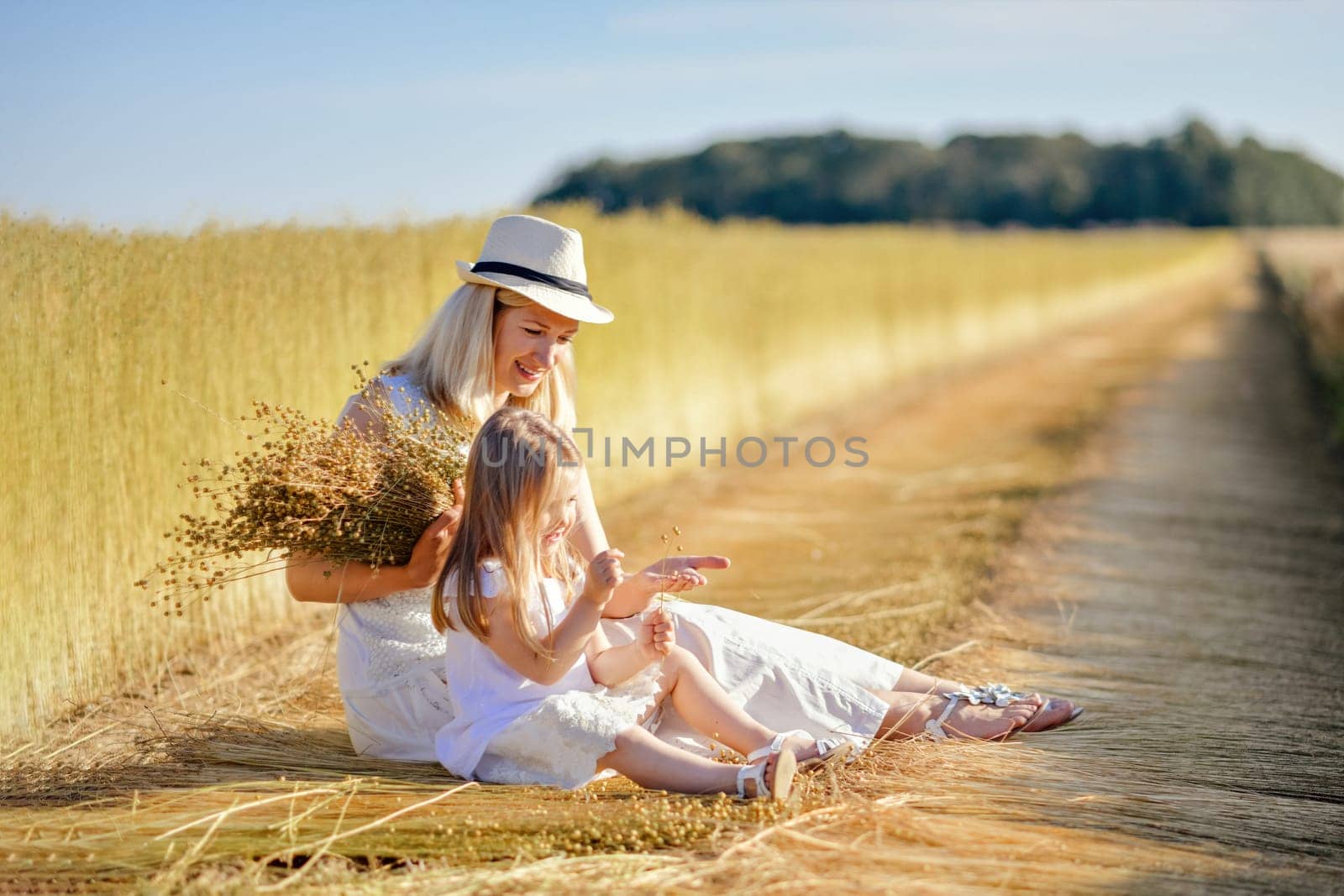 Mother and daughter in the field while harvesting flax Dry linen