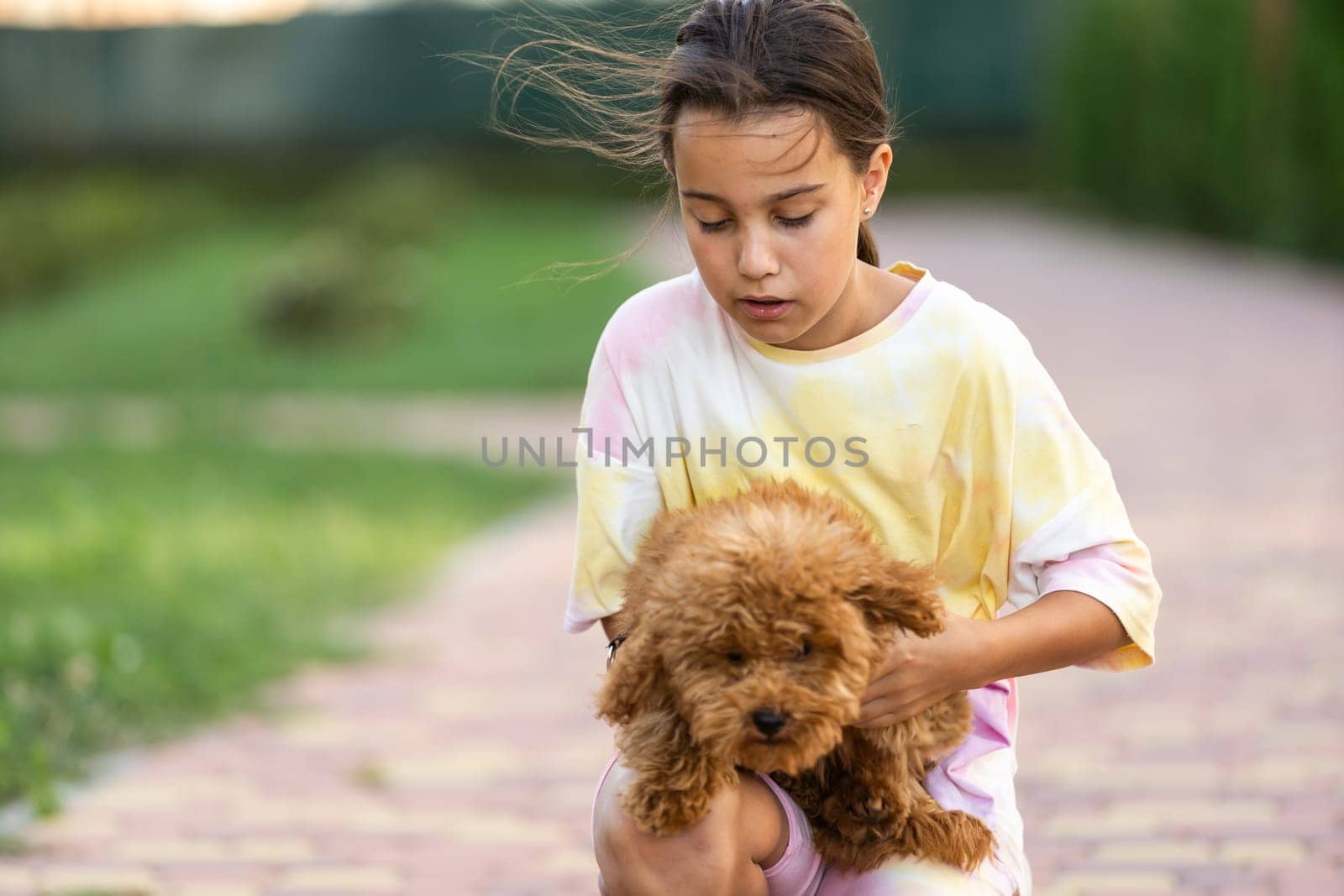 Little dog with owner spend a day at the park playing and having fun. by Andelov13