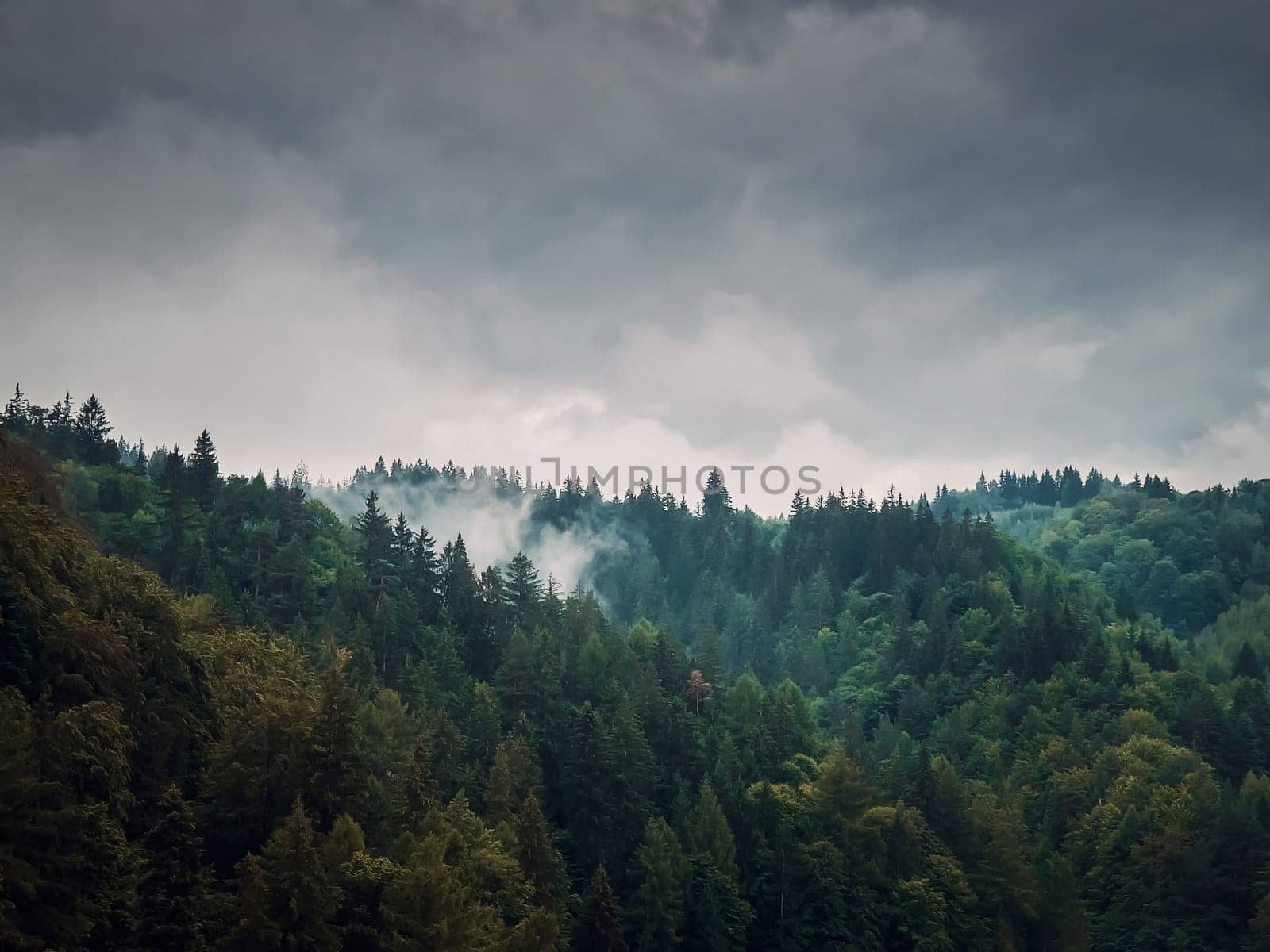 Peaceful fall scene in Carpathian mountains with mixed forest on top of the hills in a gloomy day. Natural autumn landscape in the woods, rainy weather with foggy clouds above the trees by psychoshadow