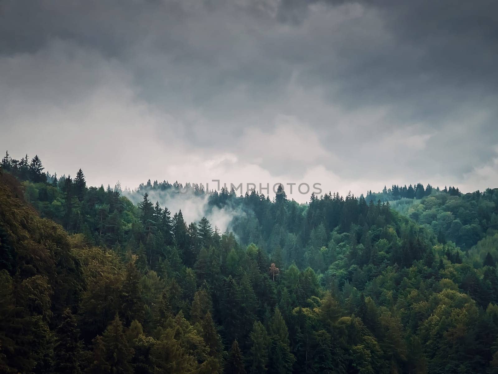 Peaceful fall scene in Carpathian mountains with mixed forest on top of the hills in a gloomy day. Natural autumn landscape in the woods, rainy weather with foggy clouds above the trees