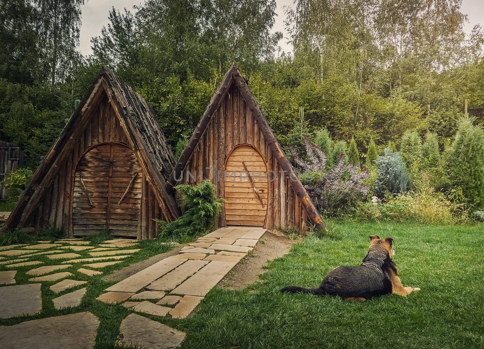 Loyal dog guards the house looking around as lying down in the yard. Faithful pet concept. Countryside background by psychoshadow