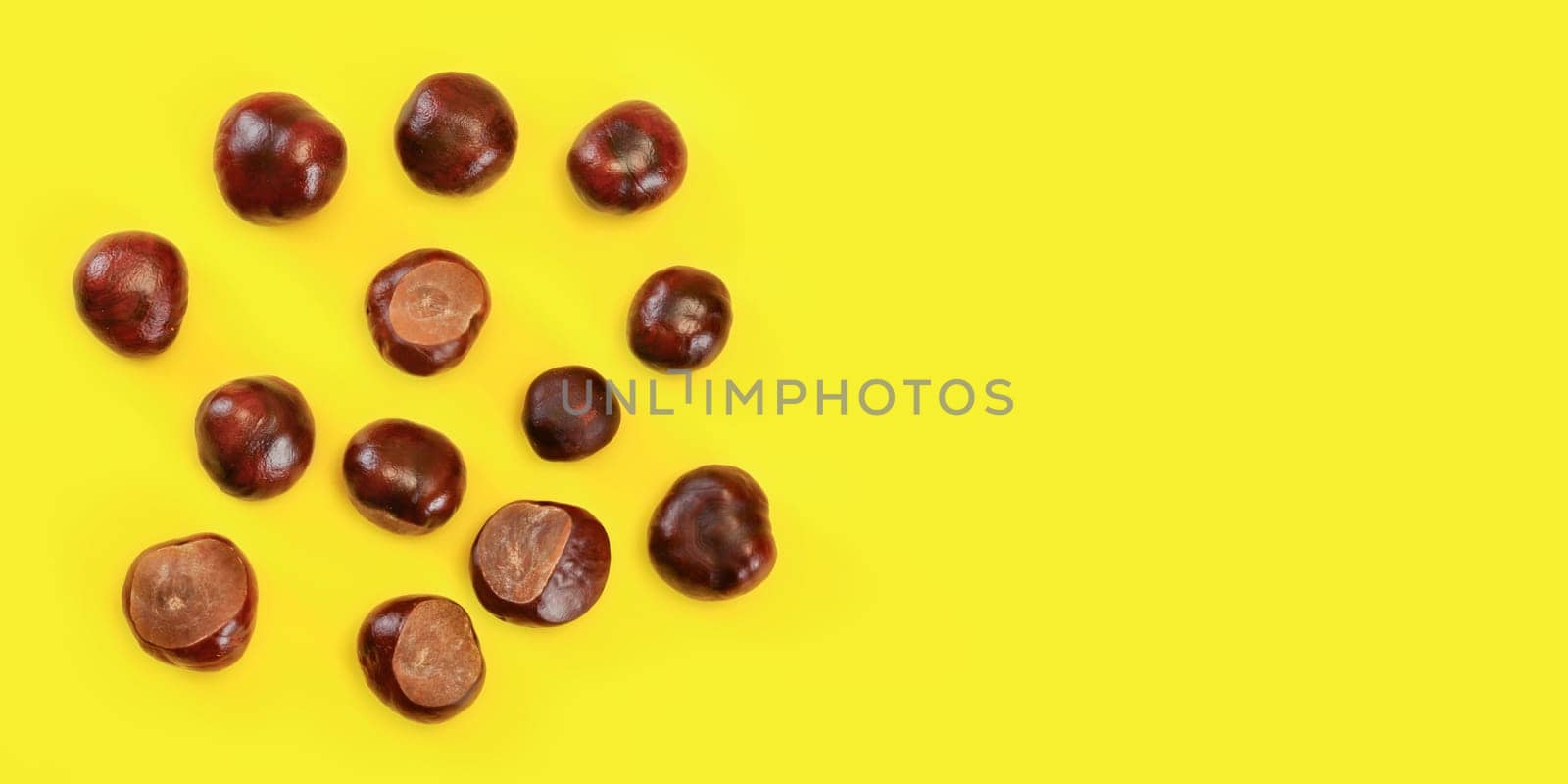 Flat lay view - horse chestnuts scattered on yellow board, space for text on right side. Autumn background. by Ivanko