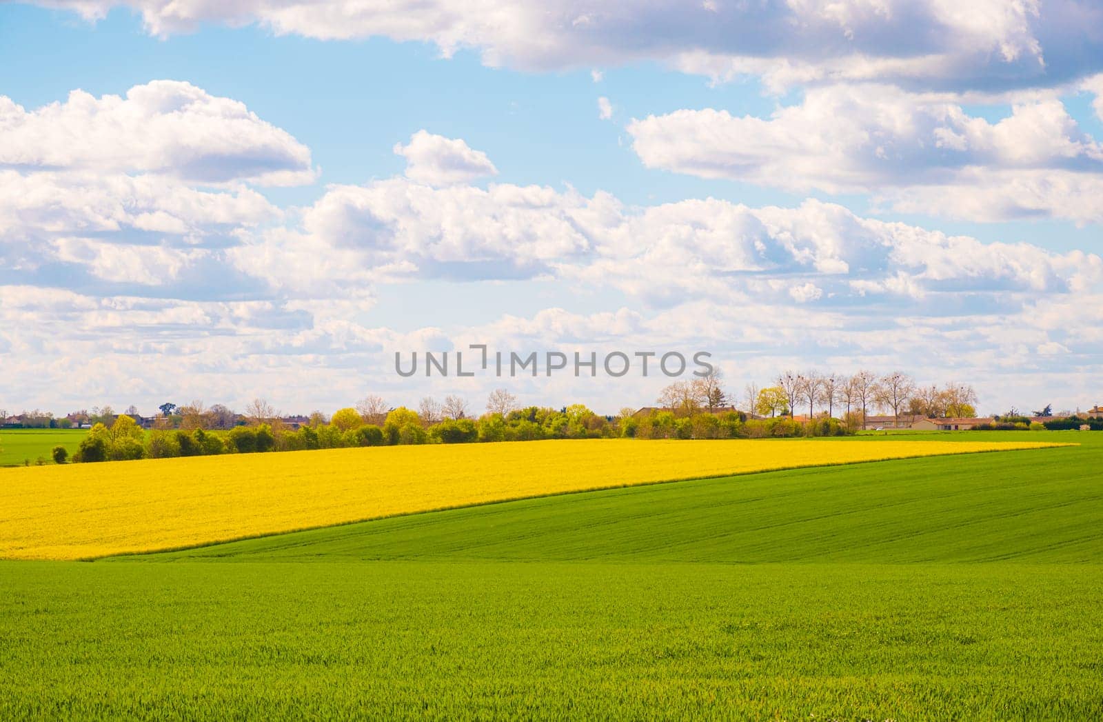 Rural landscape of cultivated fields in Nouvelle-Aquitaine by Tilo