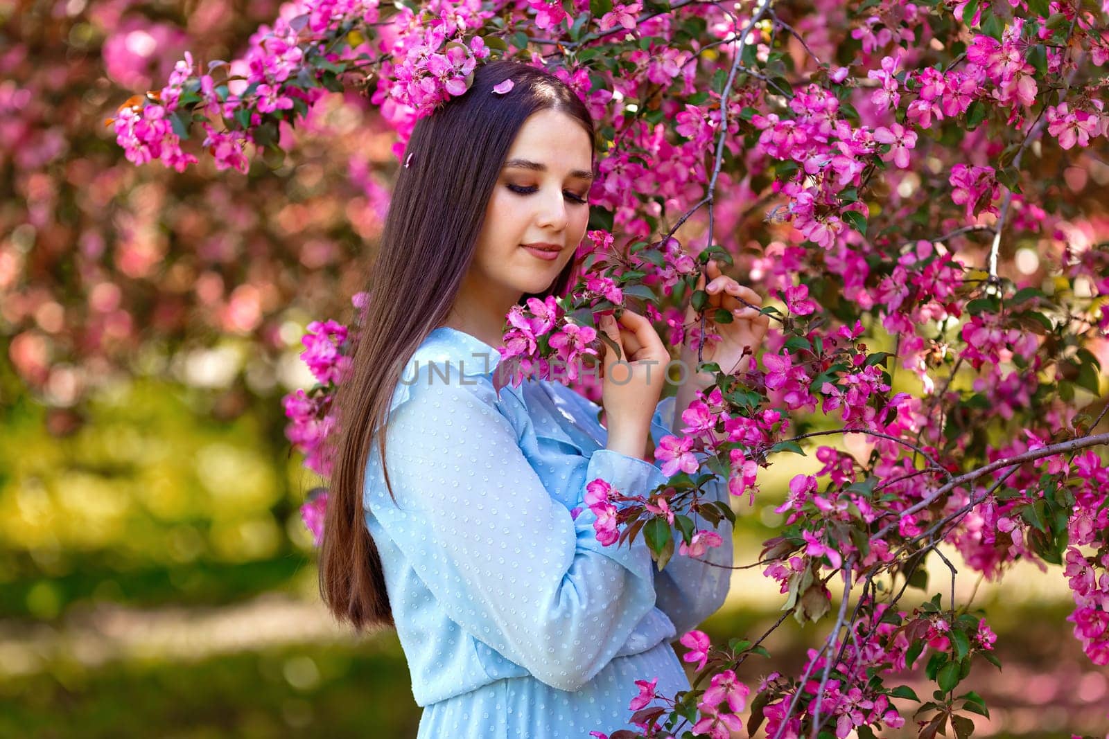 A beautiful brunette girl, long hair, blue dress, stands near a pink blooming apple tree